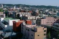  900X600������ ��������! 