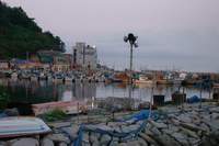  ū��������! 