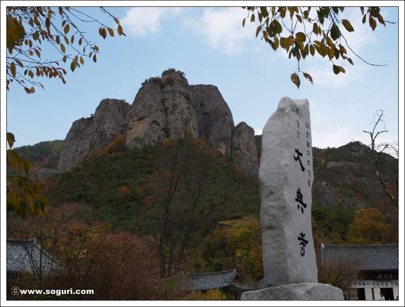 ?욎옣?쇰줈 媛湲? 