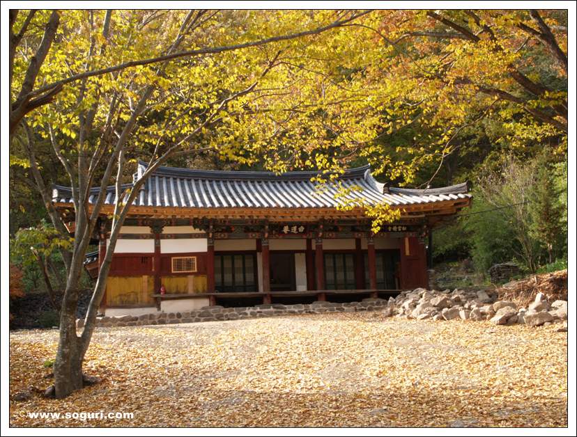  ?욎옣?쇰줈 媛湲? 