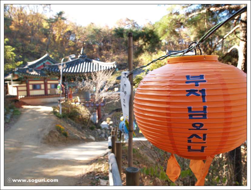  ?욎옣?쇰줈 媛湲? 