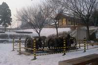  ū��������! 