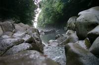  ū��������! 