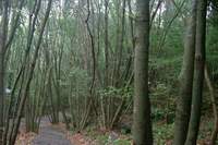  ū��������! 