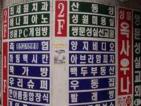  900X675������ ��������! 