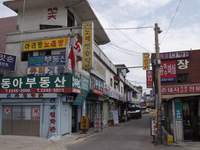  900X675������ ��������! 