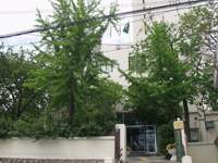  ū��������! 