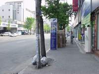  900X675������ ��������! 