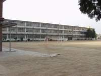  ū��������! 