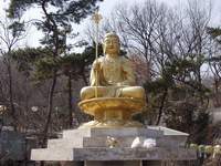  ū! 