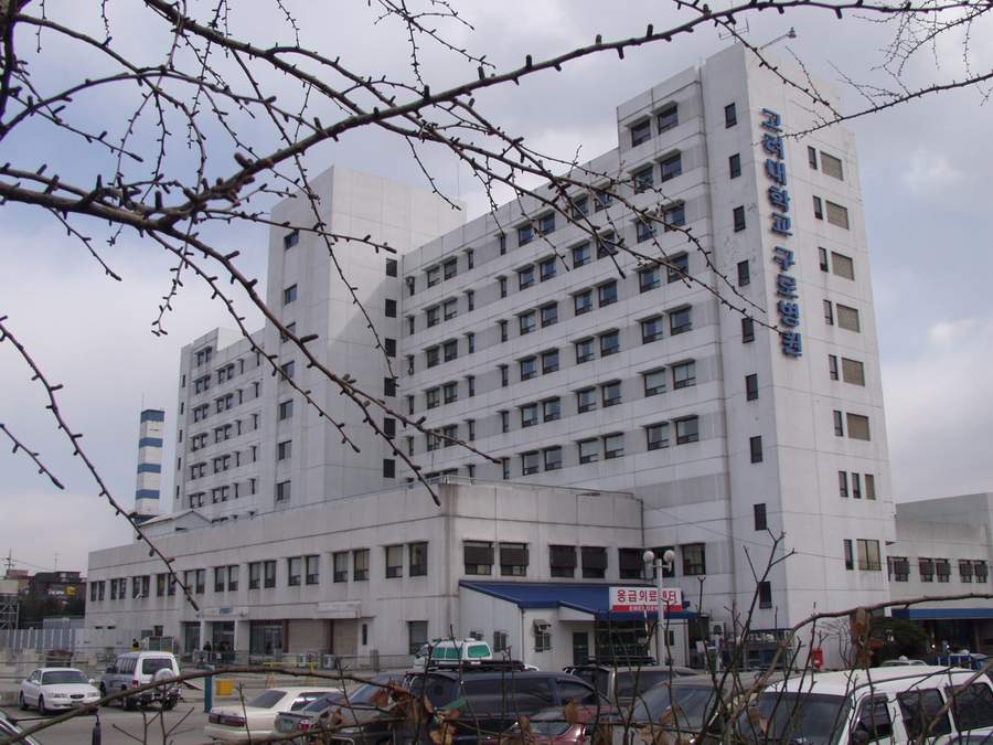 2001년 봄 서울의 모습.jpg | 인스티즈