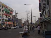  900X675������ ��������! 