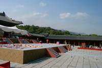  900X600������ ��������! 