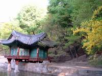  â������ �� ��������! 