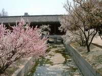  â����� ��  900X600������ ��������! 