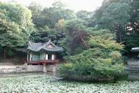  ū��������! 