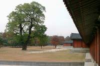  â����� ����  900X600������ ��������! 