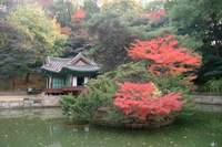  â������ ���� ��������! 