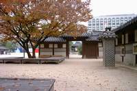  ū��������! 