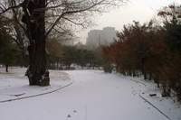  â����� �ܿ�  900X600������ ��������! 