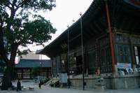  ū��������! 