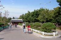  ���������� ����  900X600������ ��������! 