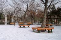  ���������� ����  900X600������ ��������!
