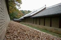  ū��������! 