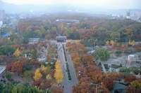  ū��������! 