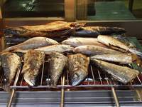  ū��������! 