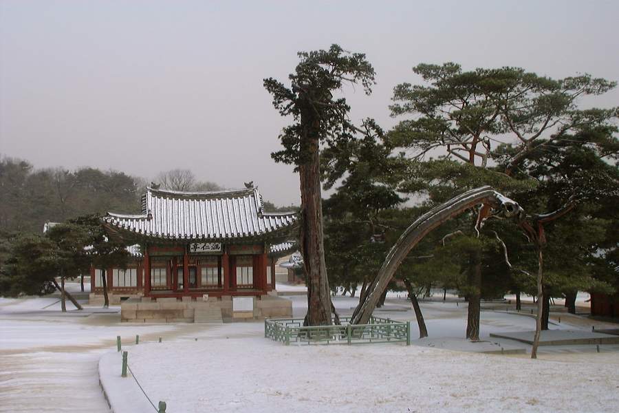  ?욎옣?쇰줈 媛湲? 