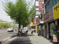  900X675������ ��������! 