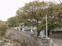  900X675������ ��������! 