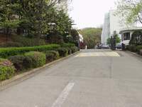  900X675������ ��������! 