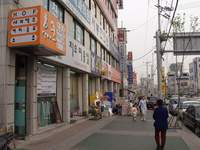  900X675������ ��������! 