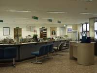  ū��������! 