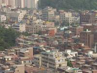  900X675������ ��������! 