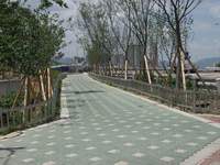  900X675������ ��������! 