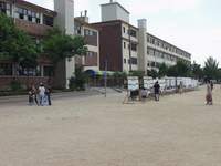  ū��������! 