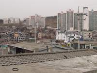  900X675������ ��������! 