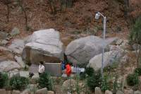  900X600������ ��������! 