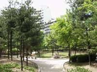  ū��������! 