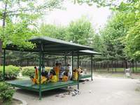  ū��������! 