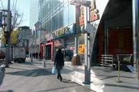  900X675������ ��������! 