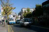  900X600������ ��������! 