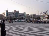  900X675������ ��������! 