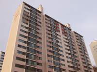  900X675������ ��������! 