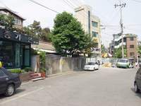  900X675������ ��������! 