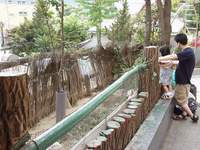  ū��������! 