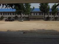  ū��������! 